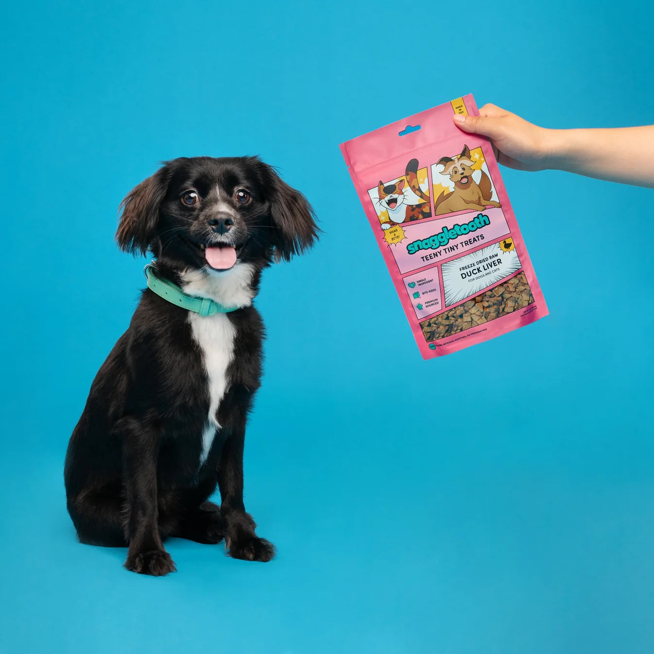Snaggletooth Teeny Tiny Treats, 2oz Bag