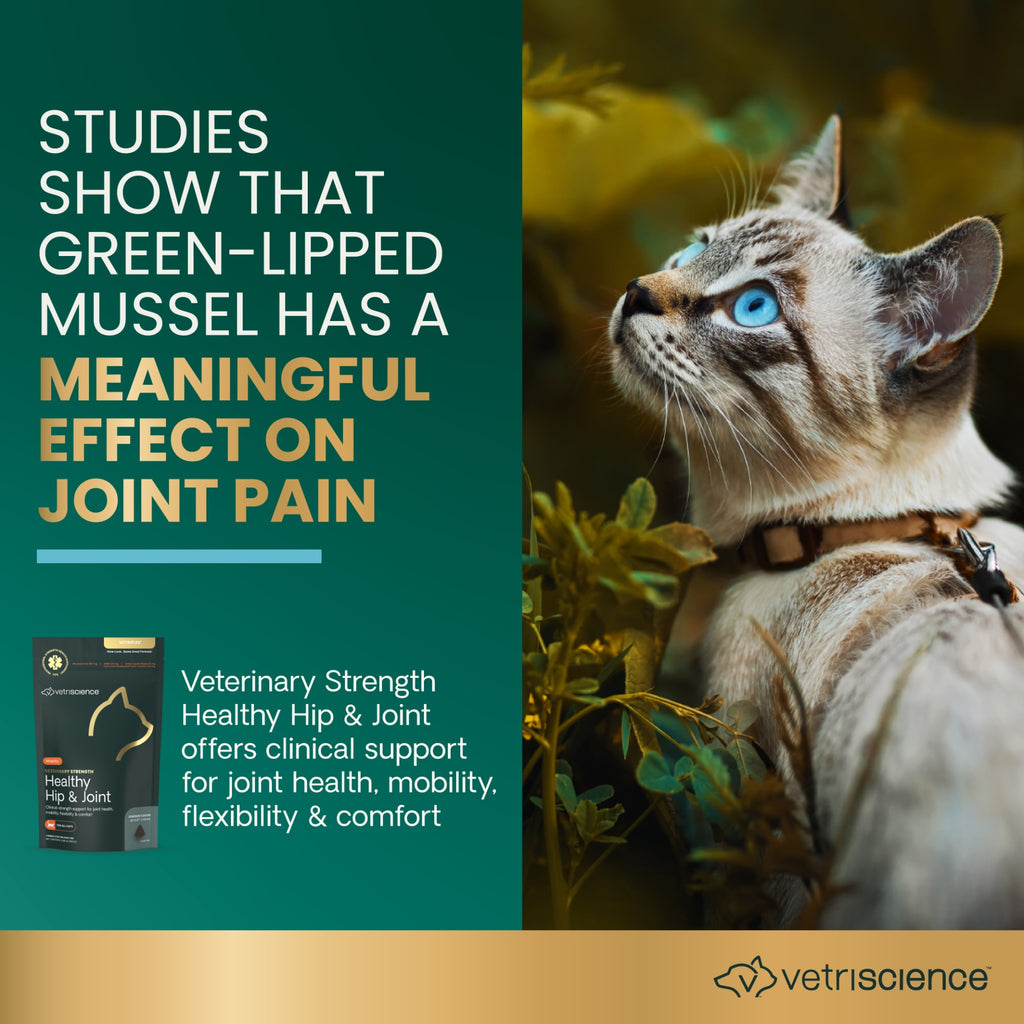 Vetriscience Veterinary Strength Healthy Hip & Joint (VetriFlex) Chews for Cats, 60ct
