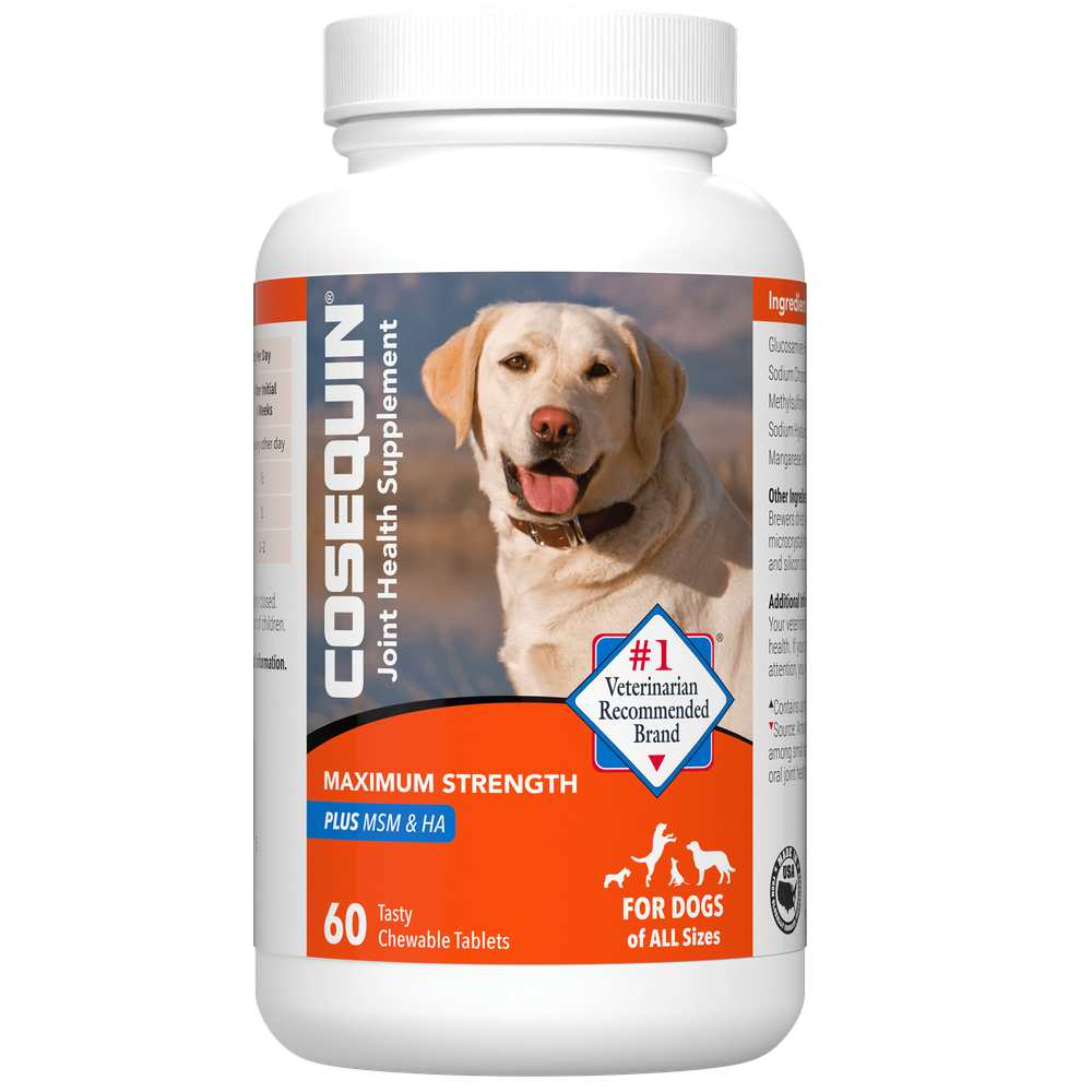 Nutramax Cosequin DS Maximum Strength Plus MSM and HA Chewable Tablets for Dogs, 60 ct