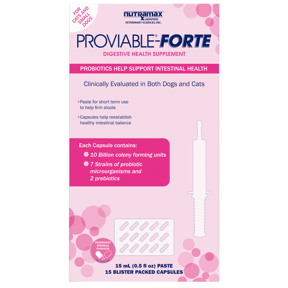 Nutramax Proviable diarrhea support kit for dogs with 15 mL paste syringe and probiotic capsules