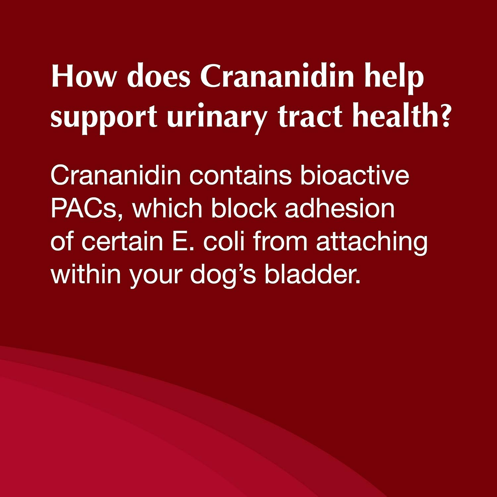 Nutramax Crananidin Chewable Tablets for Dogs, 75ct