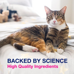 Nutramax Proviable Forte for Cats & Dogs