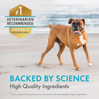 Nutramax Welactin Omega-3 Skin & Coat Soft Chews for Dogs, 60 ct