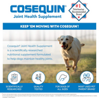 Nutramax Cosequin DS Plus MSM & Boswellia Joint Soft Chews for Dogs, 60 ct