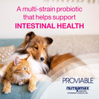 Proviable multi-strain probiotic helps support intestinal health in dogs and cats