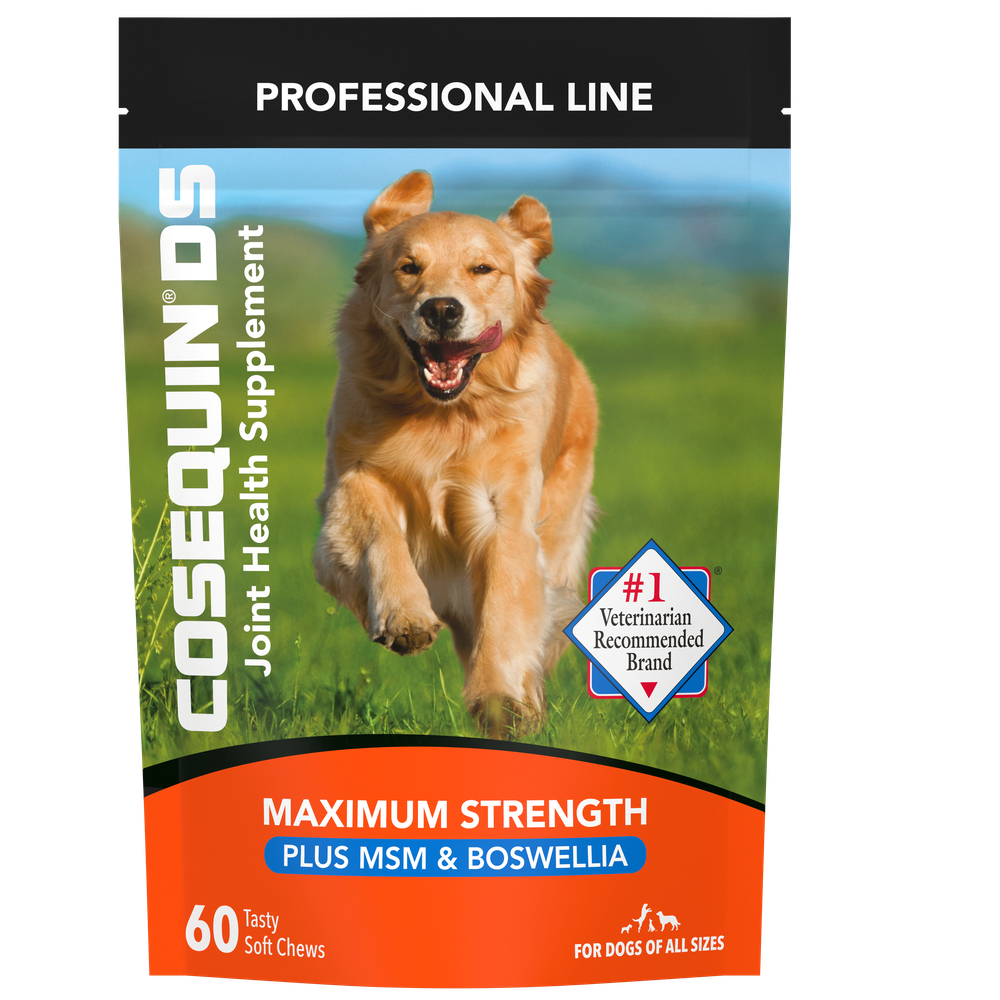 Nutramax Cosequin DS Plus MSM & Boswellia Soft Chews for Dogs, 60ct