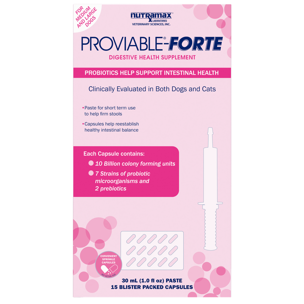Nutramax Proviable diarrhea support kit for dogs with 30 mL paste syringe and probiotic capsules
