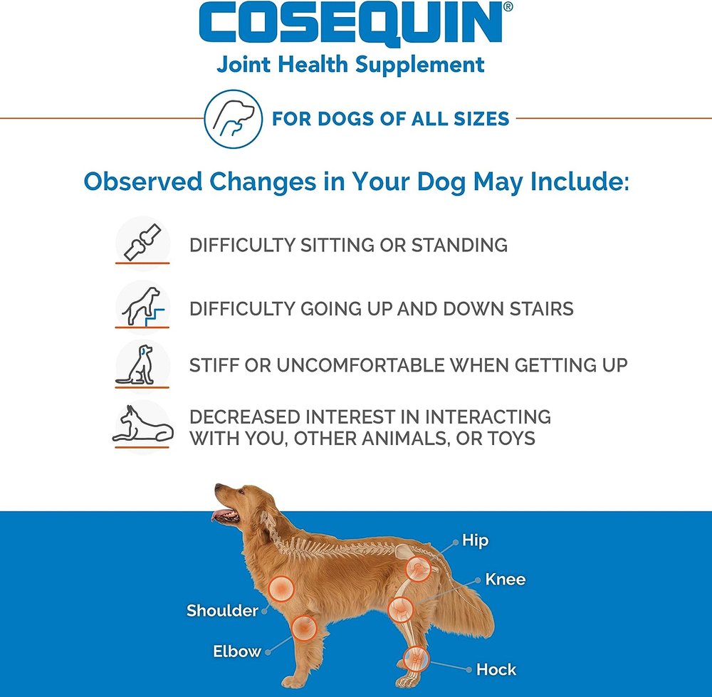 Nutramax Cosequin DS for Dogs Chewable Tablets, 132ct