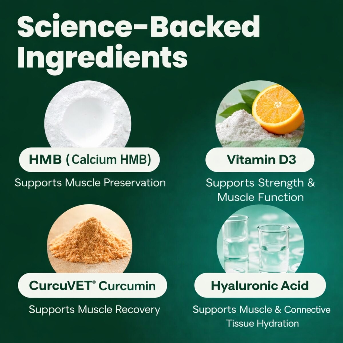 VetriScience HMB science-backed ingredients - HMB, Vitamin D3, CurcuVET curcumin, hyaluronic acid