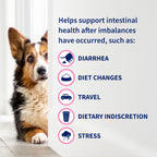 Nutramax Proviable-DC Probiotic Capsules for Dogs & Cats, 30 ct