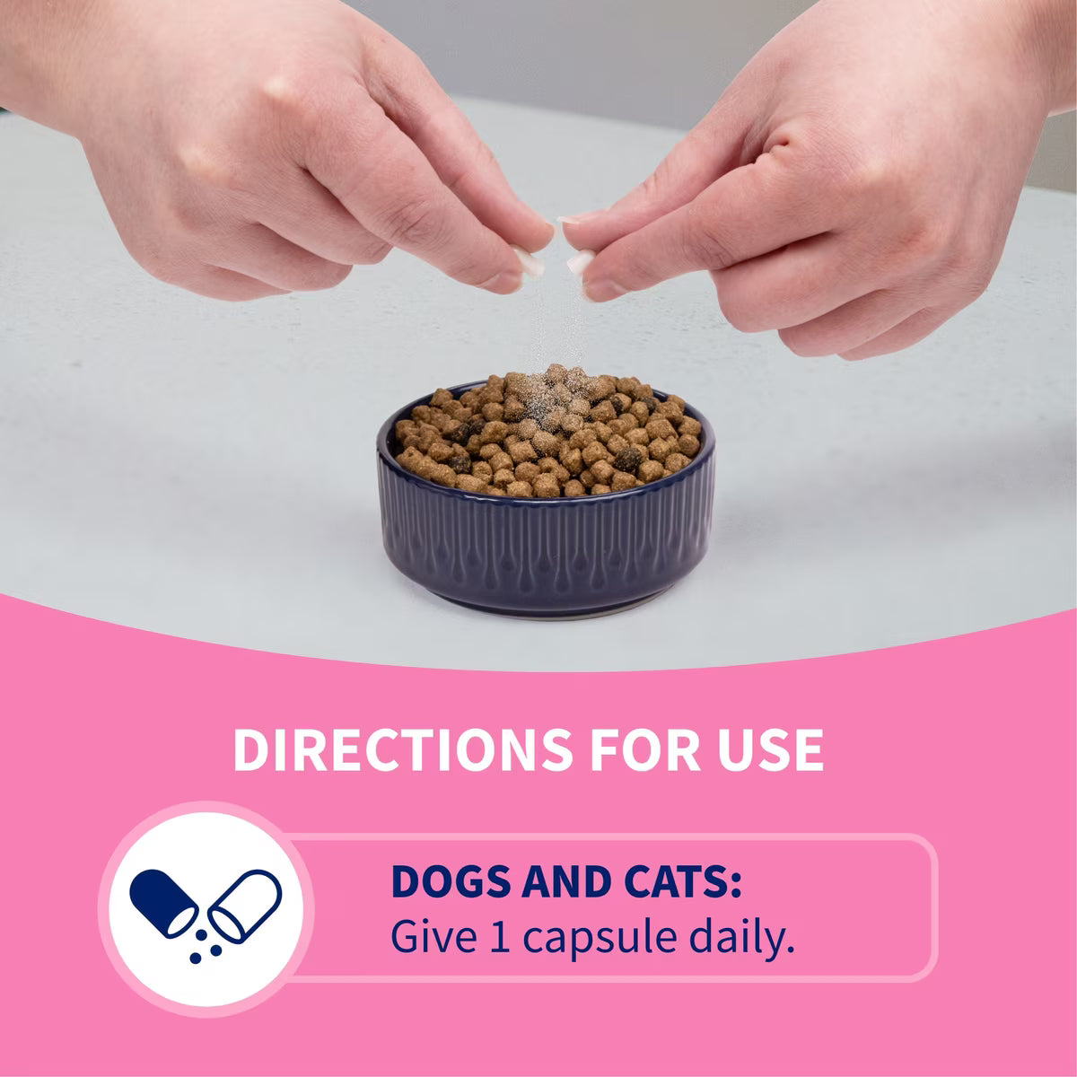 Nutramax Proviable-DC Capsules for Dogs & Cats, 30ct