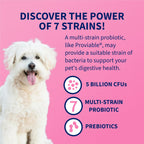 Nutramax Proviable-DC Probiotic Capsules for Dogs & Cats, 30 ct