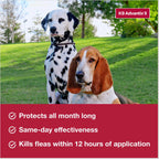 K9 Advantix II Flea, Tick & Mosquito Topical for Dogs