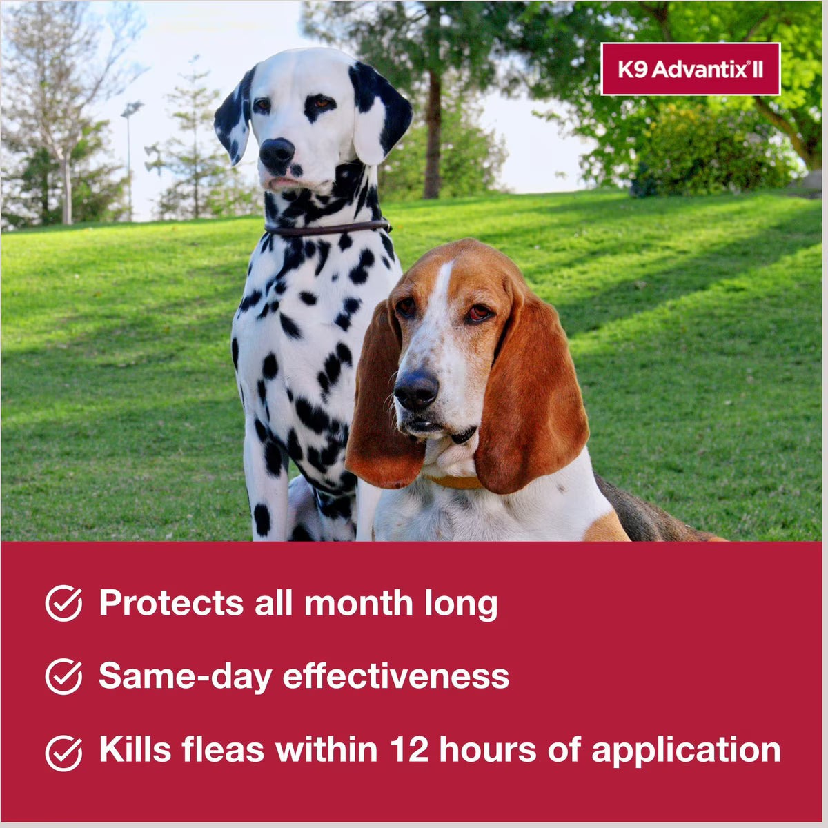 K9 Advantix II Topical Flea & Tick Solution for Dogs