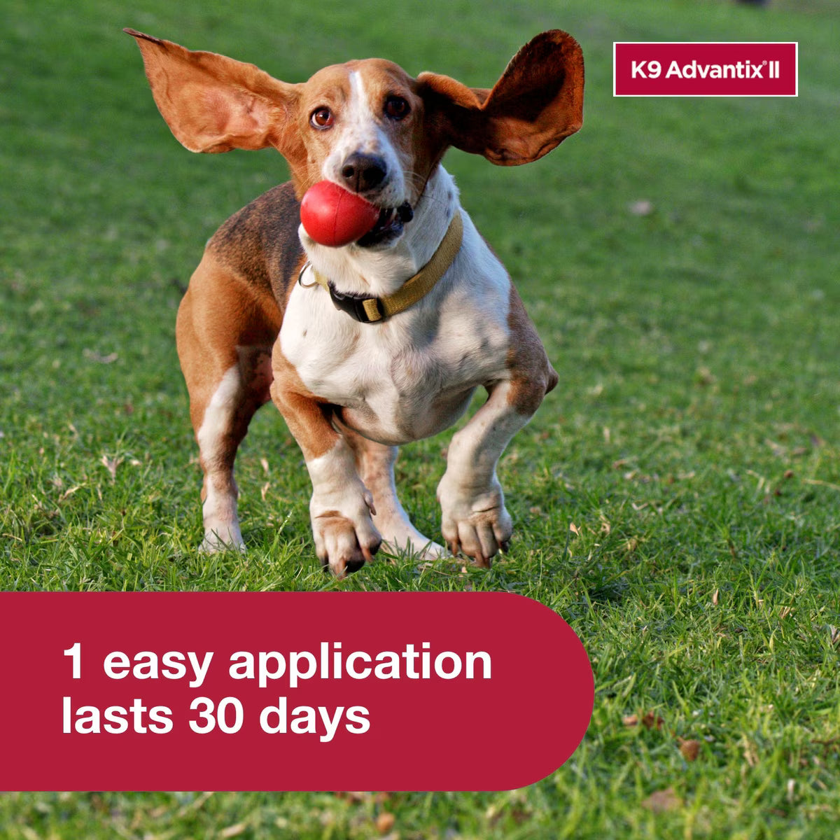K9 Advantix II Topical Flea & Tick Solution for Dogs