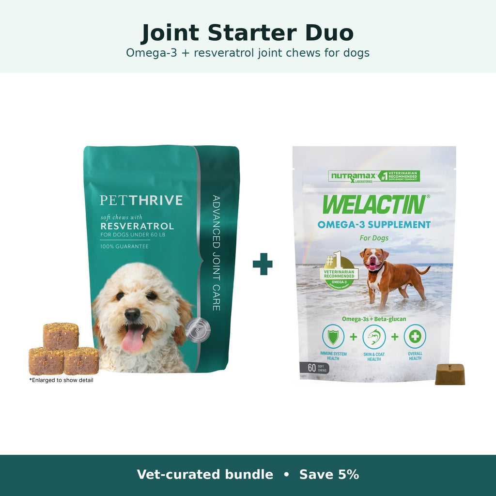 Dr. Shockman's Joint Starter Duo for dogs: Petthrive Resveratrol Soft Chews plus Nutramax Welactin Omega-3 Soft Chews, save 5%