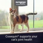 Nutramax Cosequin Joint Health Sprinkle Capsules for Cats, 80 ct
