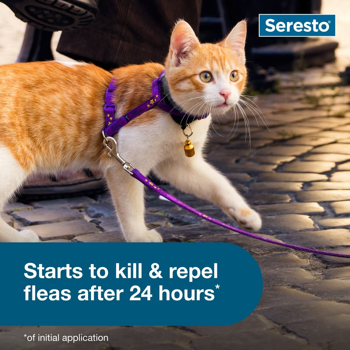 Seresto Flea & Tick Collars for Cats