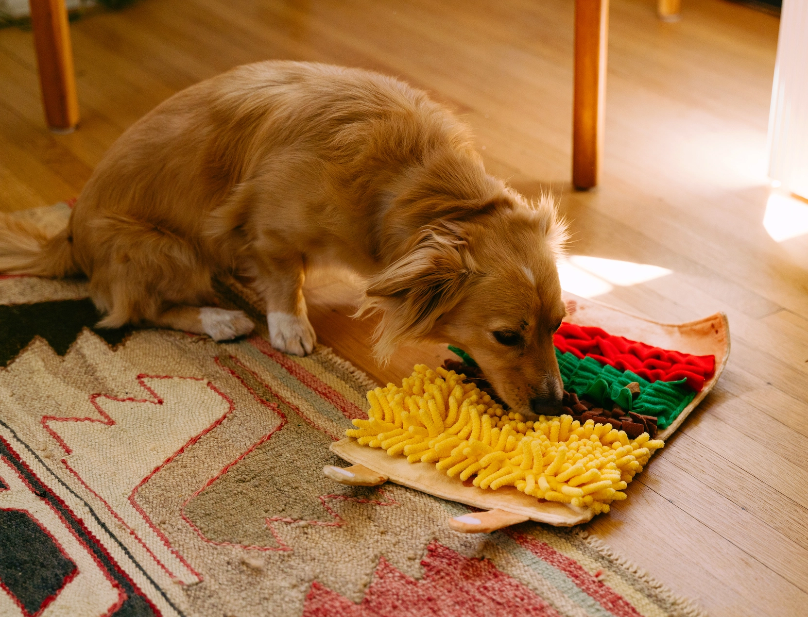 Snufflerz Roll Interactive Dog Toy