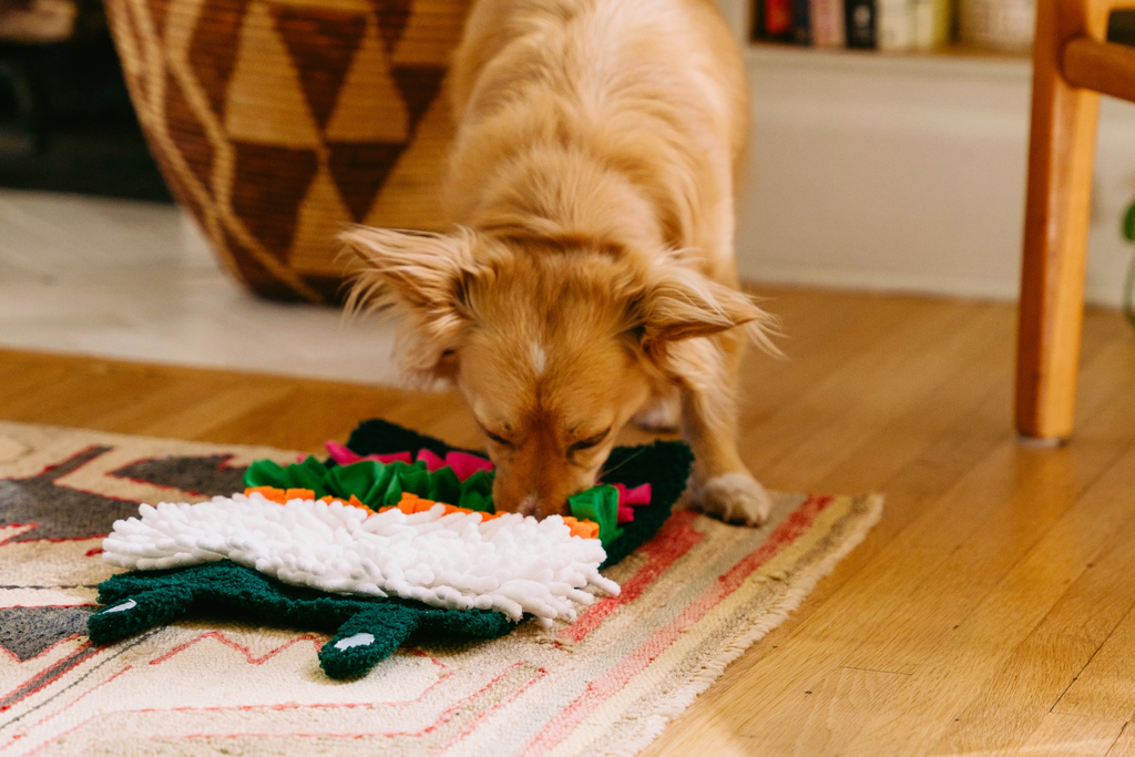 Snufflerz Roll Interactive Dog Toy