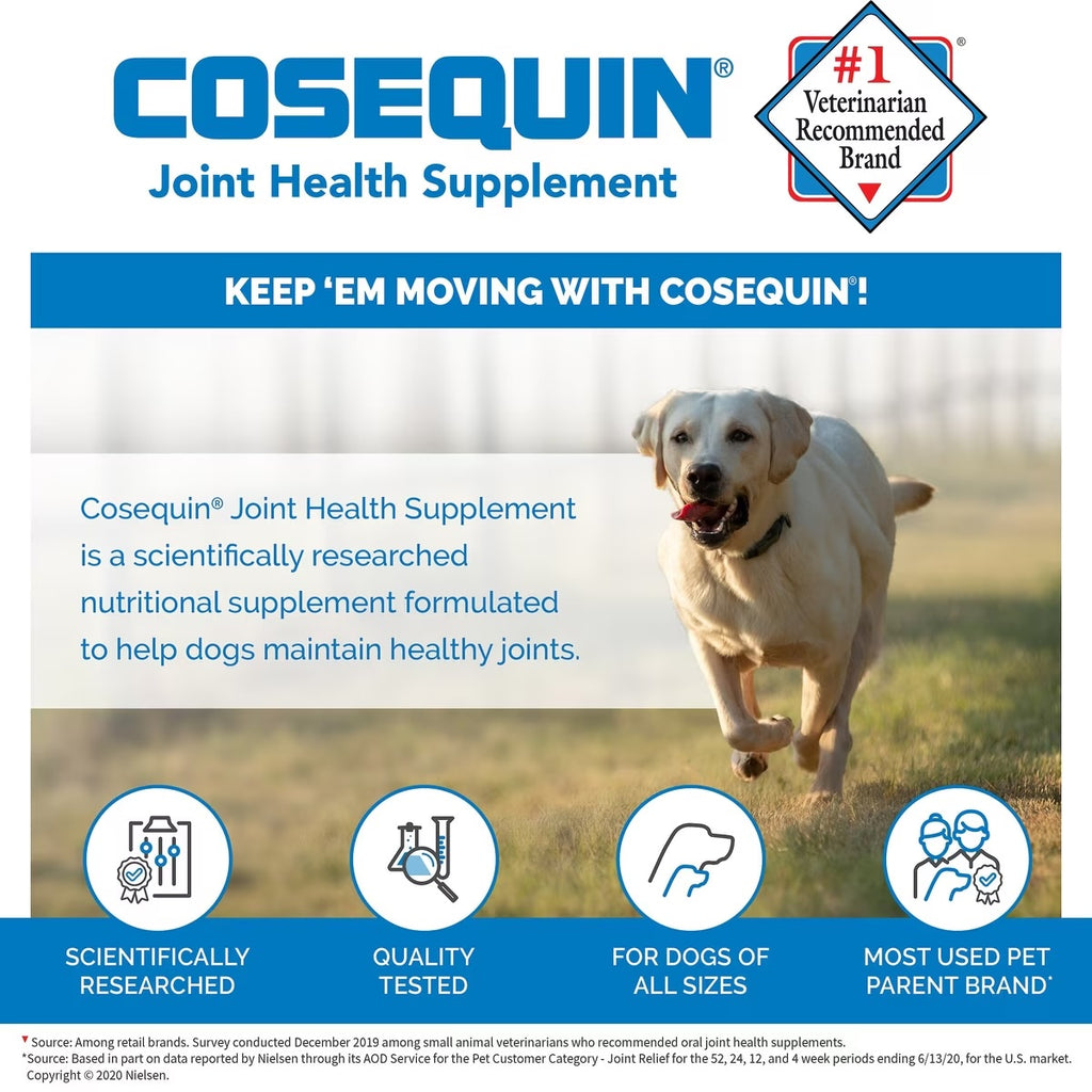 Nutramax Cosequin DS for Dogs Chewable Tablets, 132ct