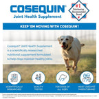 Nutramax Cosequin DS Joint Health Chewable Tablets for Dogs, 132 ct