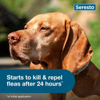 Seresto 8-Month Flea & Tick Collar for Dogs