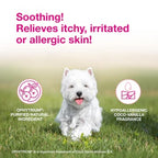 Douxo S3 Calm Itchy Skin Shampoo for Dogs & Cats, 6.7 oz