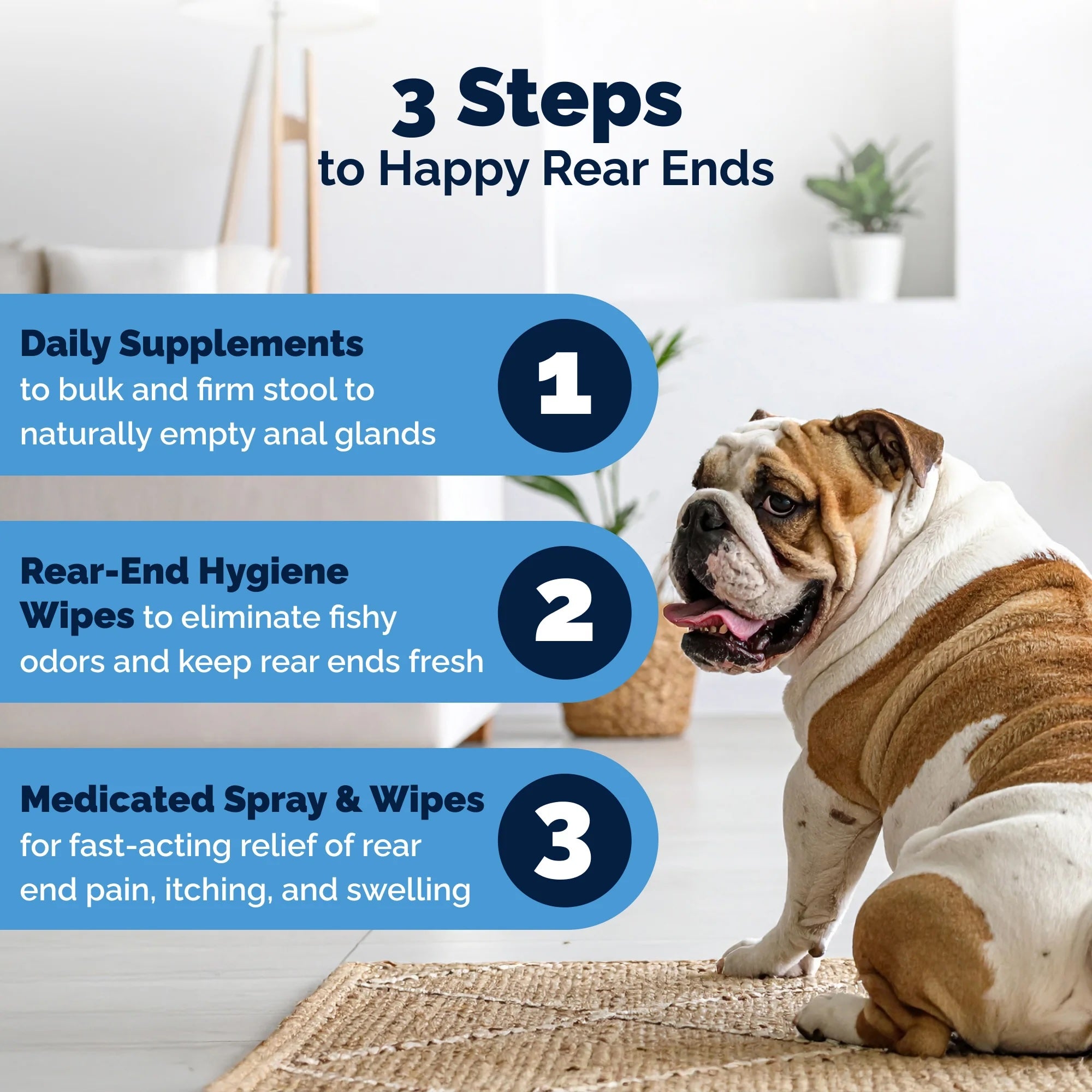 Glandex Soft Chews For Dogs: Peanut Butter, 60ct
