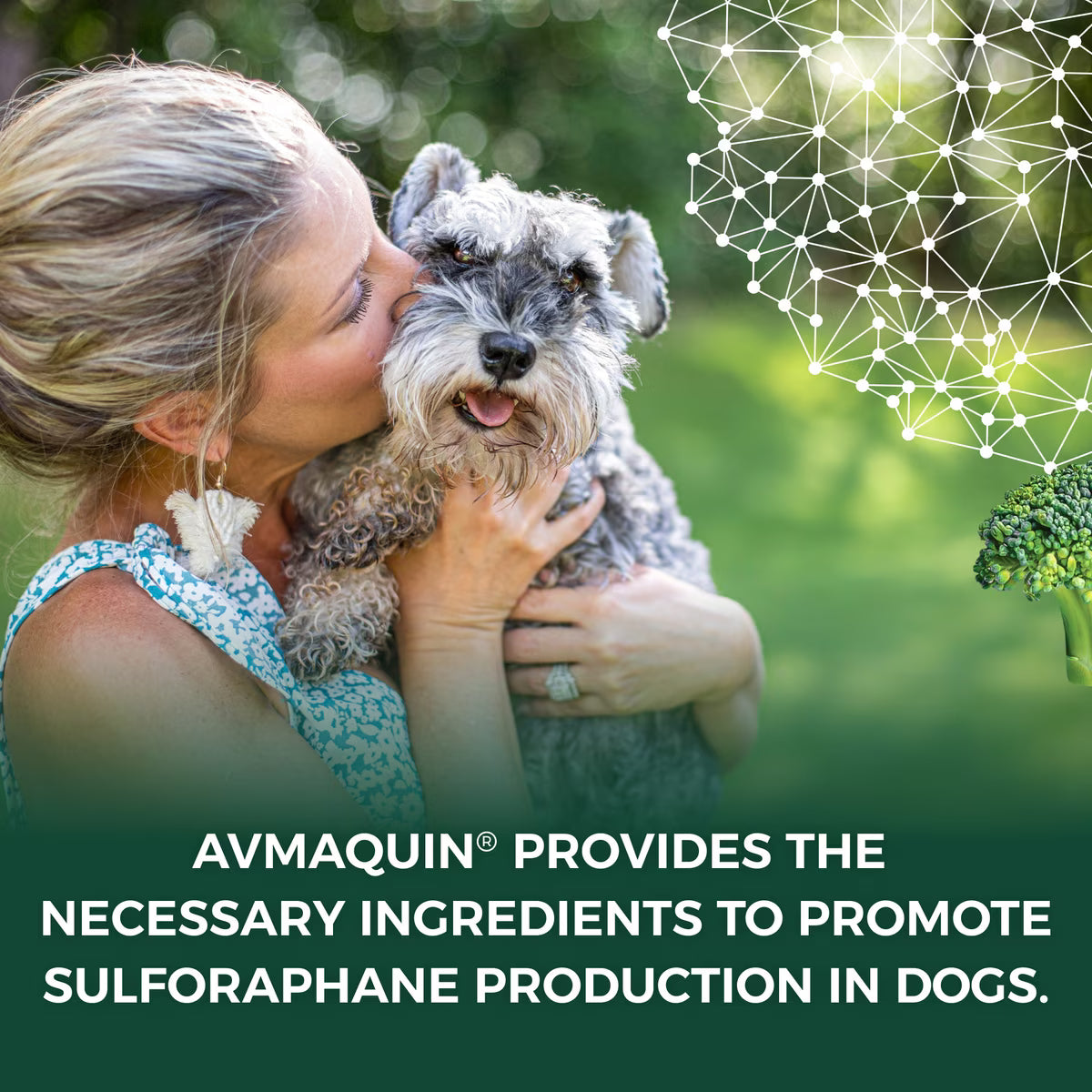 Nutramax Avmaquin Tablets for Dogs, 45ct