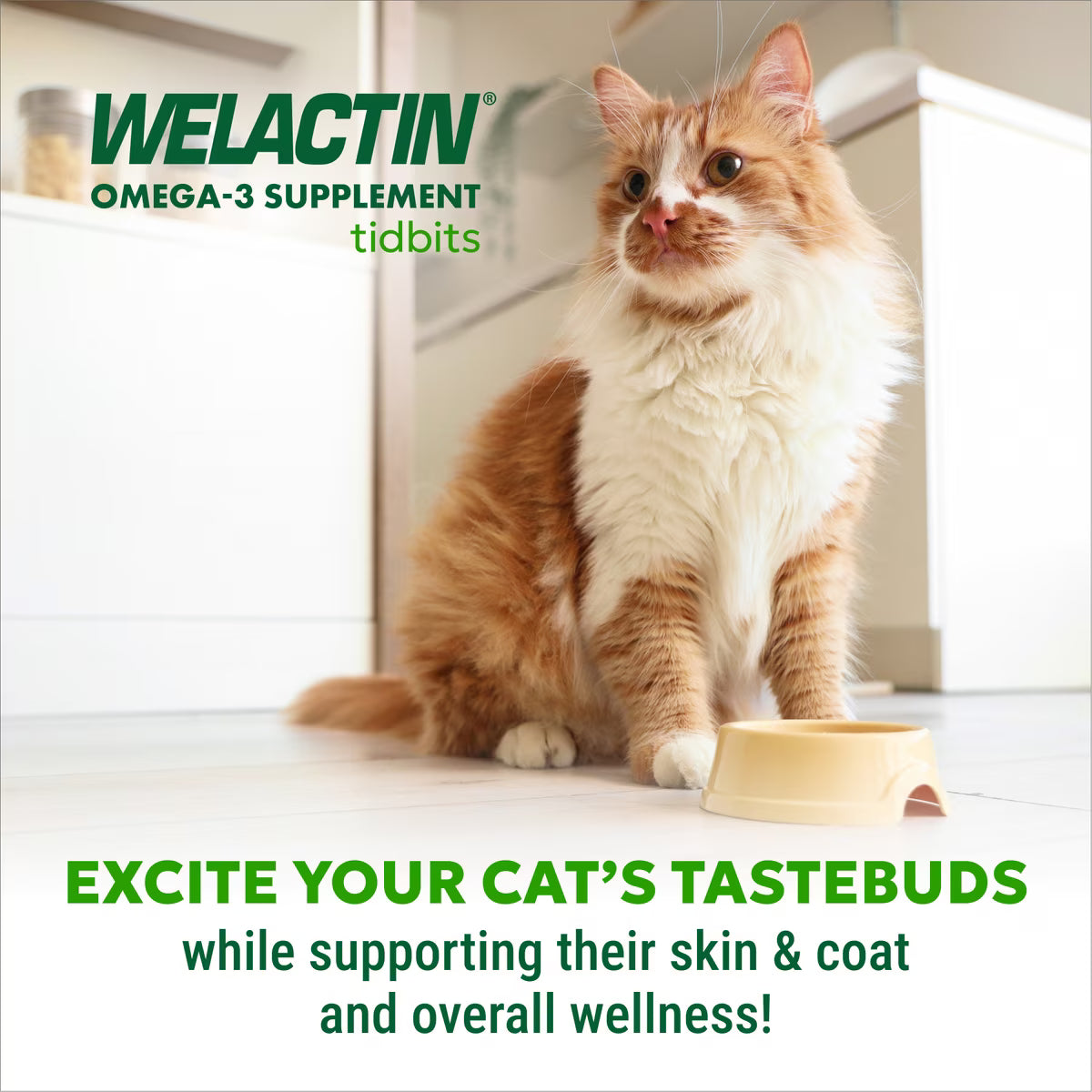 Nutramax Welactin Tidbits for Cats, 5.29oz