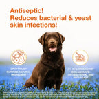 Douxo S3 Pyo Antiseptic Skin Wipes for Dogs & Cats, 30 ct