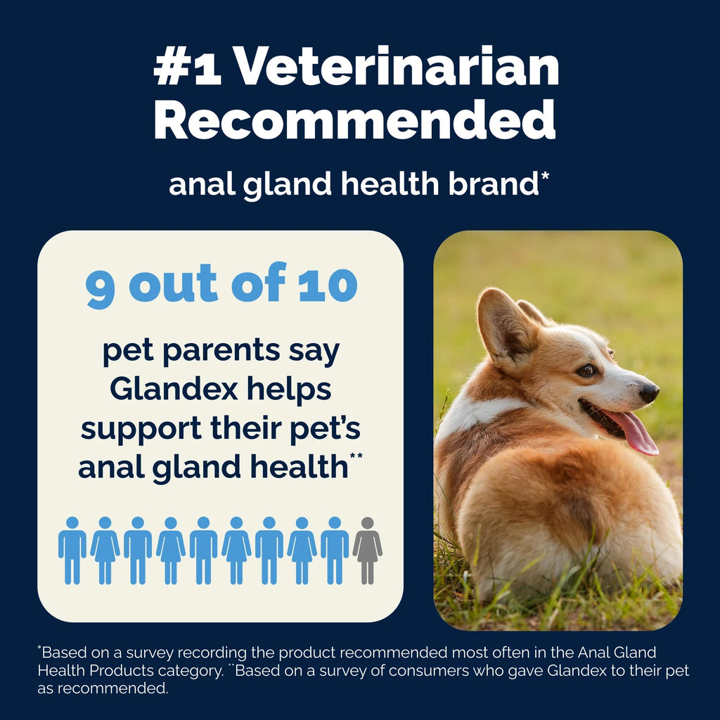 Glandex Soft Chews For Dogs: Peanut Butter, 60ct