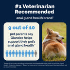 Glandex Anal Gland & Fiber Soft Chews for Dogs, Peanut Butter, 60 ct