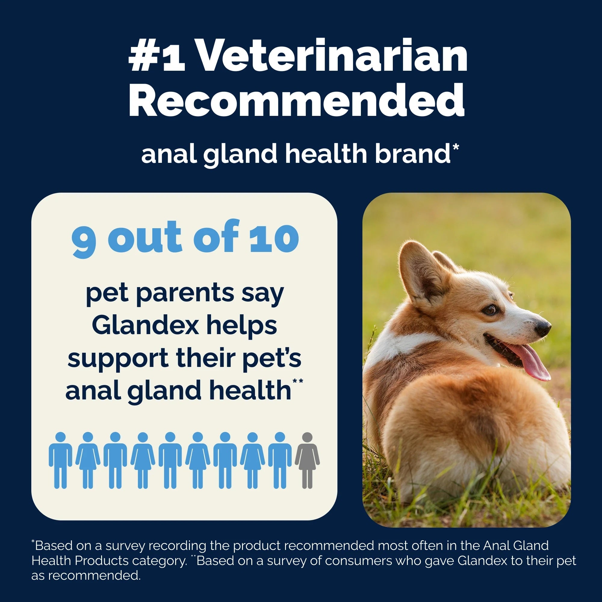 Glandex Soft Chews For Dogs: Peanut Butter, 60ct