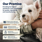 Glandex Anal Gland & Fiber Soft Chews for Dogs, Peanut Butter, 60 ct