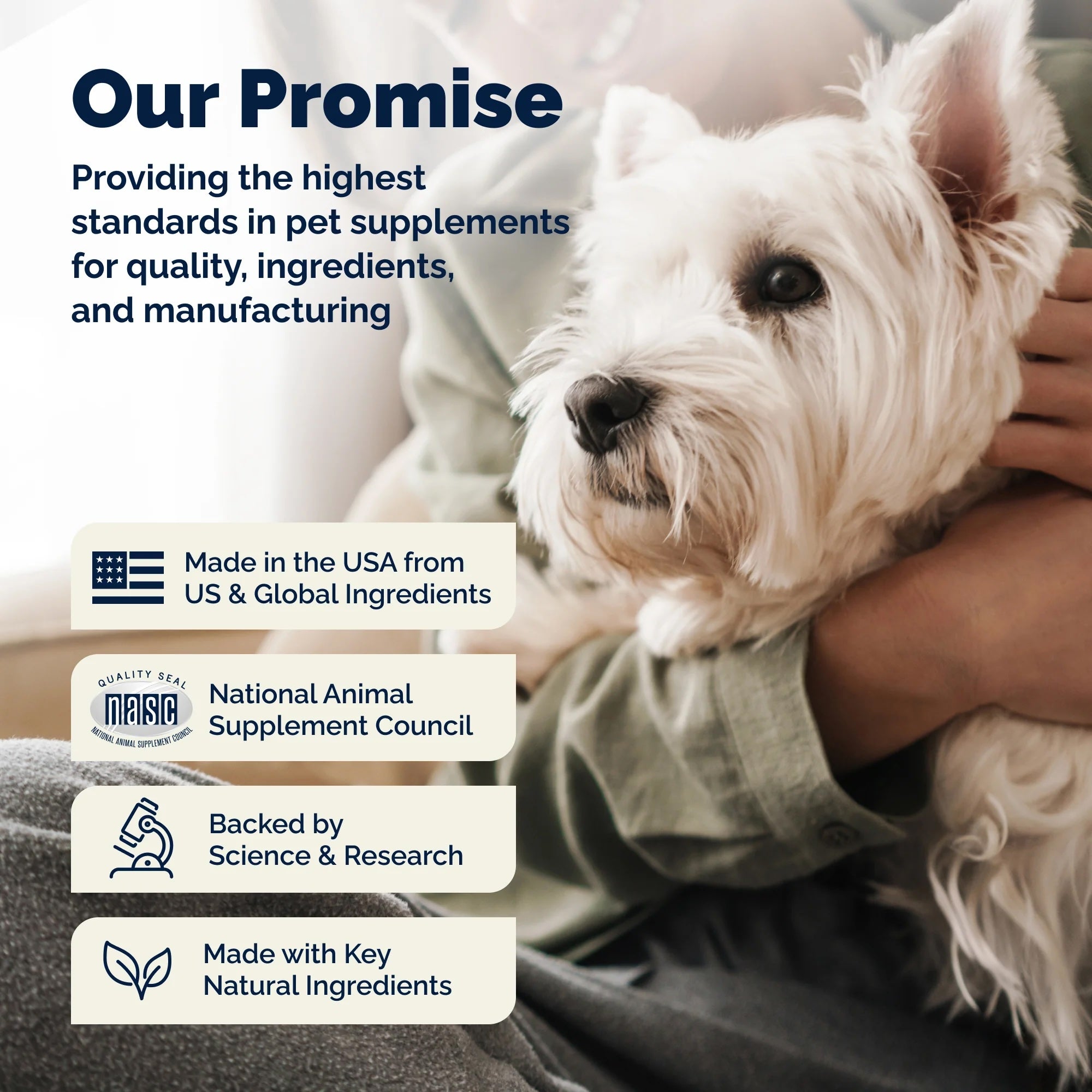 Glandex Soft Chews For Dogs: Peanut Butter, 60ct