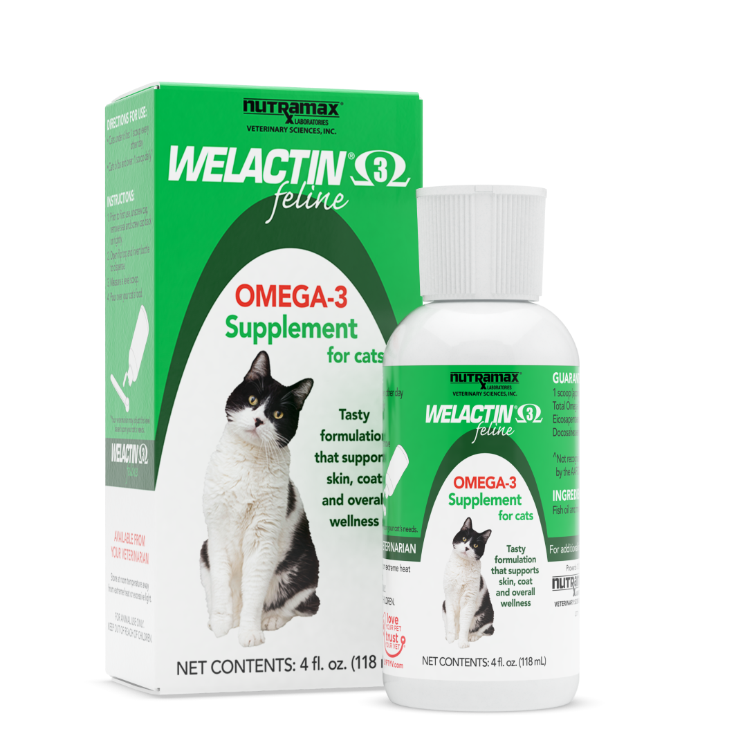 Nutramax Welactin Feline Omega-3 Liquid Supplement for Cats, 4 fl oz bottle and box